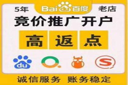 谷歌SEM案例研究：广告预算分配与优化